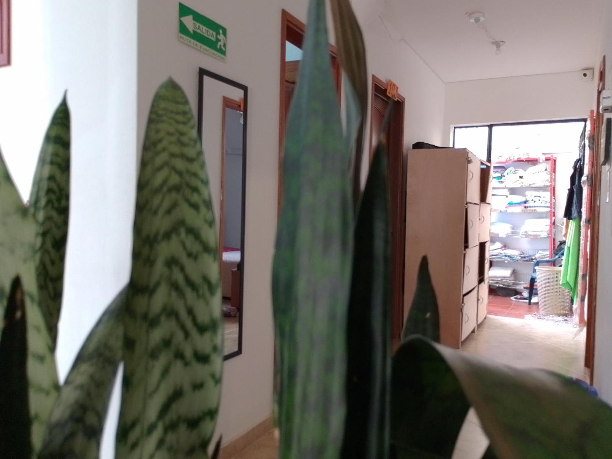 Family Host Hostel 莱瓦镇 外观 照片